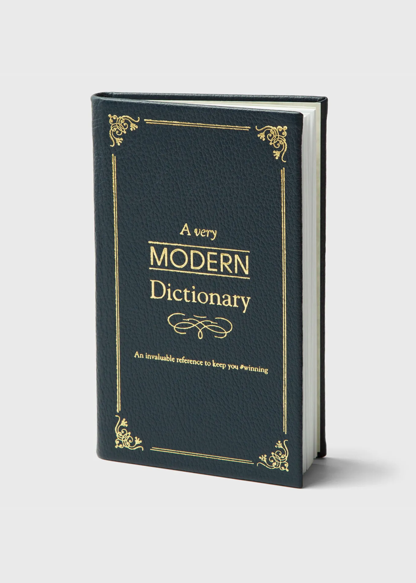 a_very_modern_dictionary_0.webp A Very Modern Dictionary