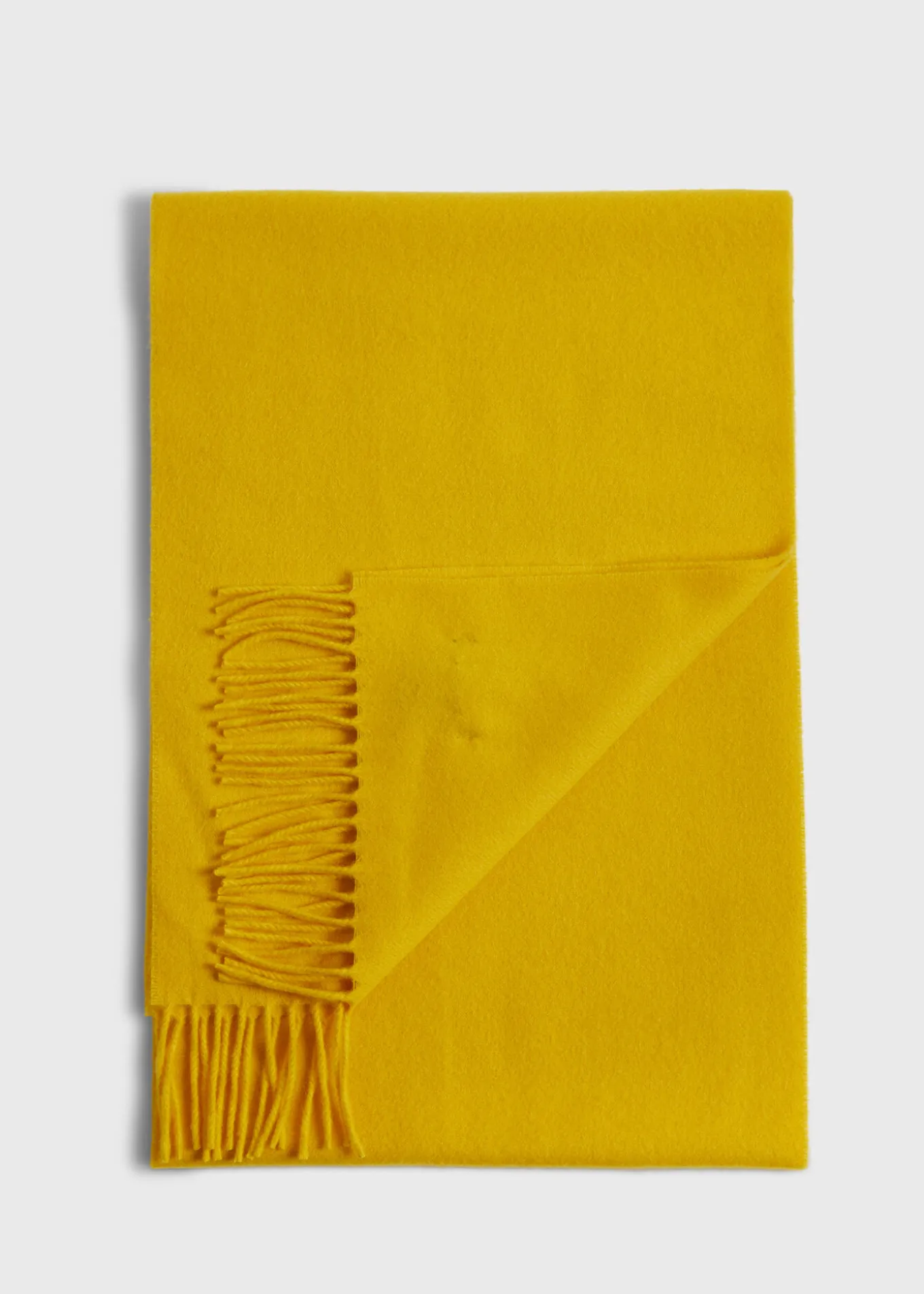 cashmere_scarf_with_fring_0.webp Cashmere Scarf With Fringe