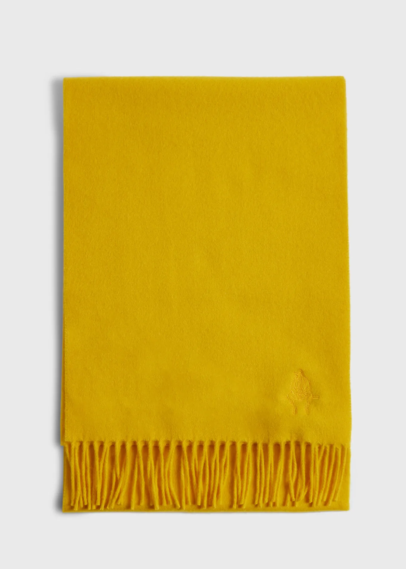 cashmere_scarf_with_fring_1.webp Cashmere Scarf With Fringe
