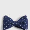 Printed Silk Dot Bow Tie