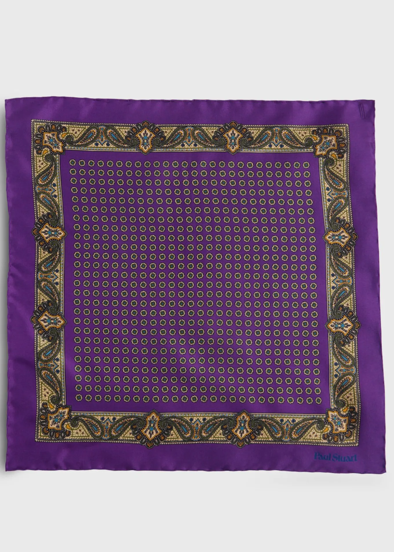printed_silk_medallion_an_1-2.webp Printed Silk Medallion And Paisley Pocket Square