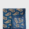 Silk Tossed Paisley Medallion Pocket Square