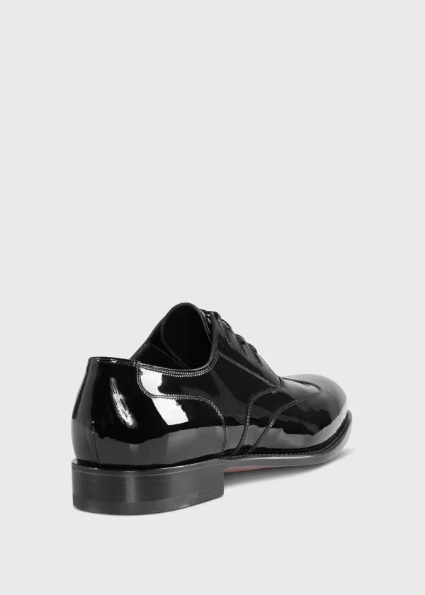 Solane Formal Lace Up