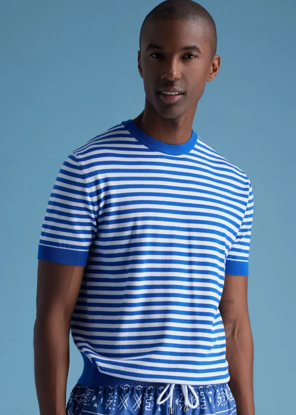 Stripe Knit Short Sleeve Crewneck