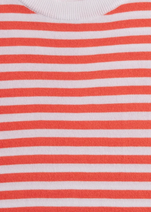 Stripe Knit Short Sleeve Crewneck