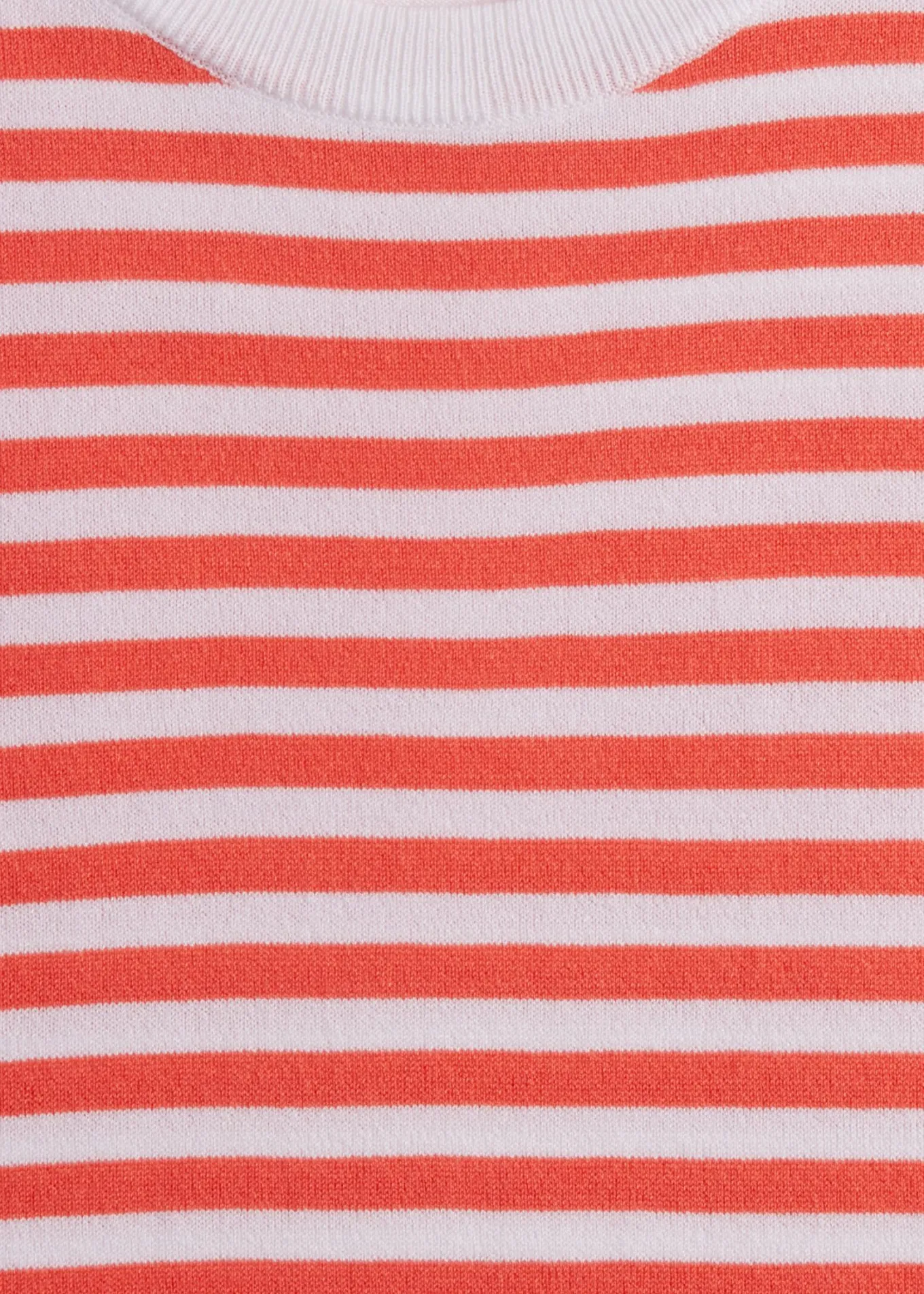 stripe_knit_short_sleeve__1.webp Stripe Knit Short Sleeve Crewneck